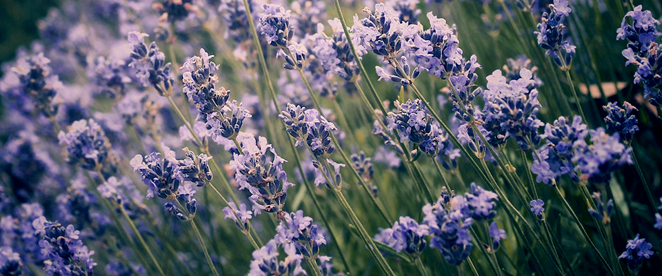 网络ddos攻击软件